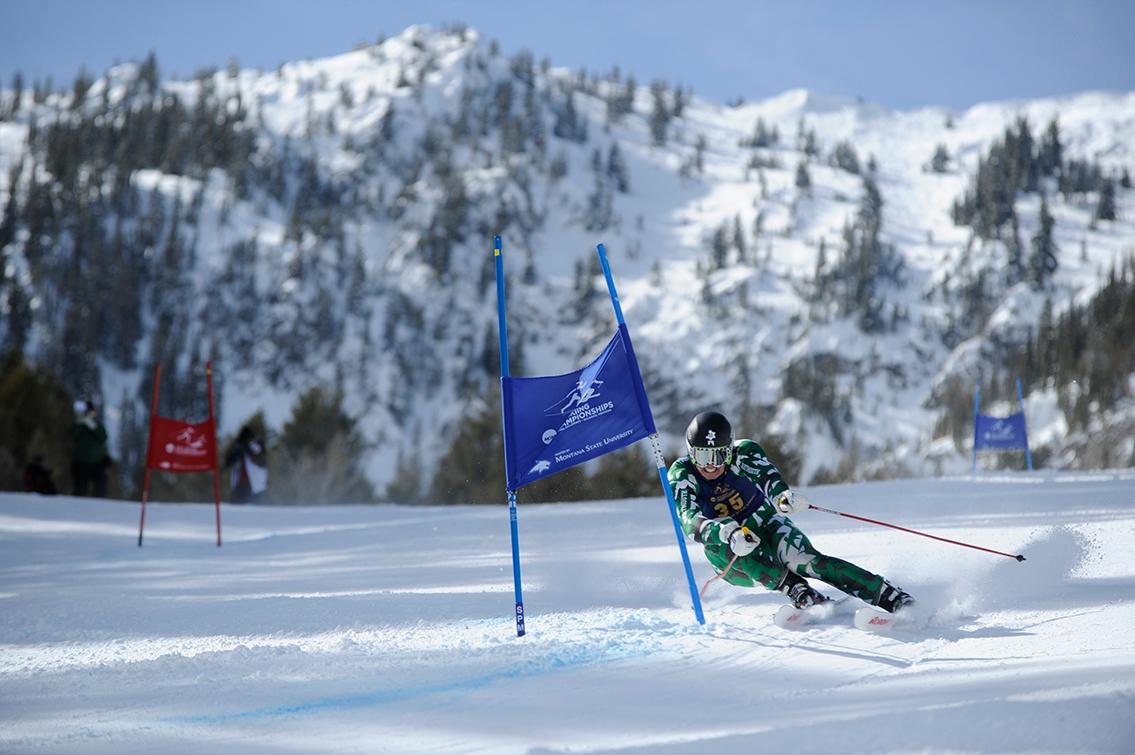 NC skiing